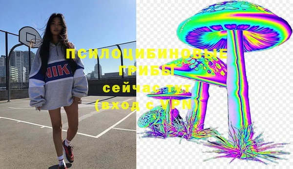герыч Лагань