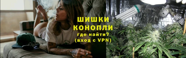 ПСИЛОЦИБИНОВЫЕ ГРИБЫ Ладушкин